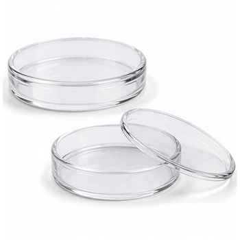 Clear Fused-Quartz Petri Dishes with Lids