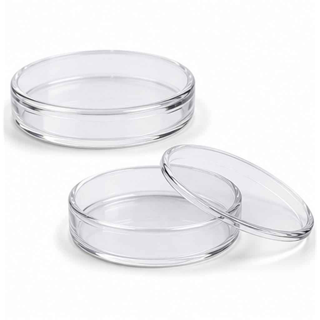 Clear Fused-Quartz Petri Dishes with Lids for High-Temperature Cell Culture and Acid Evaporation